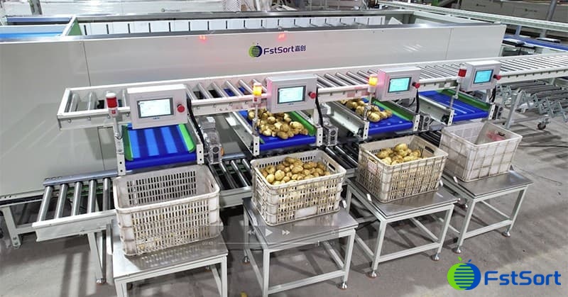 images/1654847775830potato processing machinery.jpg